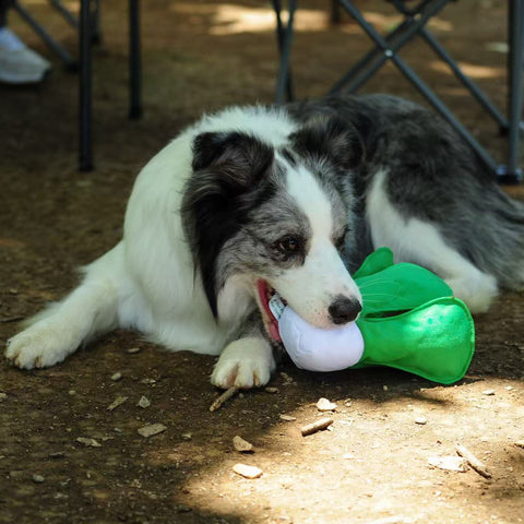 I Love Vegetables - Dog rpet toys