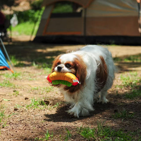 I Love Fast Food - Dog rpet toys