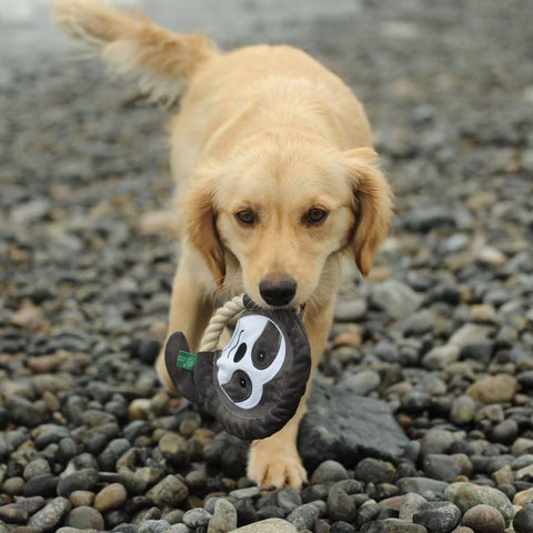 The Very Best Frisbee - Dog rpet toys