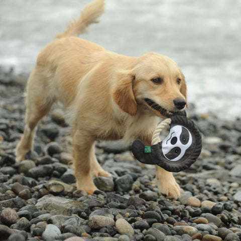 The Very Best Frisbee - Dog rpet toys