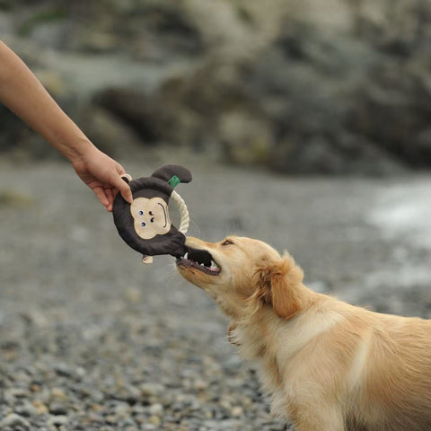 The Very Best Frisbee - Dog rpet toys