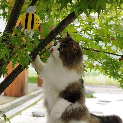 Insect Catnip Toys