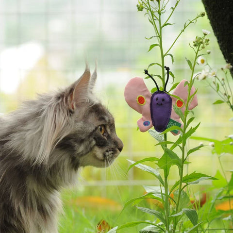 Insect Catnip Toys