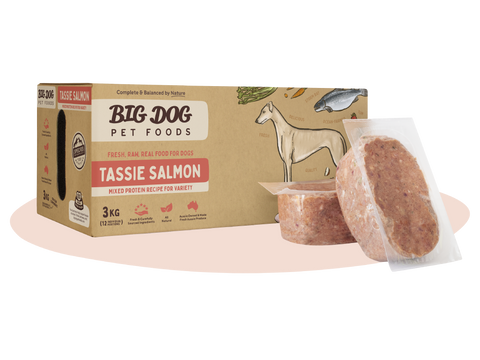 Frozen Raw Dog Food - Tassie Salmon
