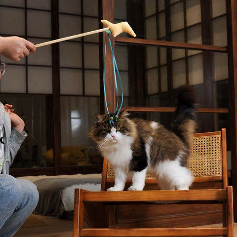 Simulated Sound Weather Wand Toys