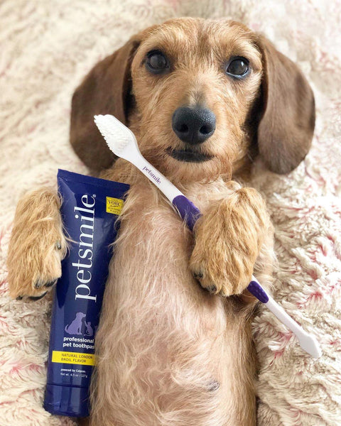 Dual-Ended Pet Toothbrush - Petisan