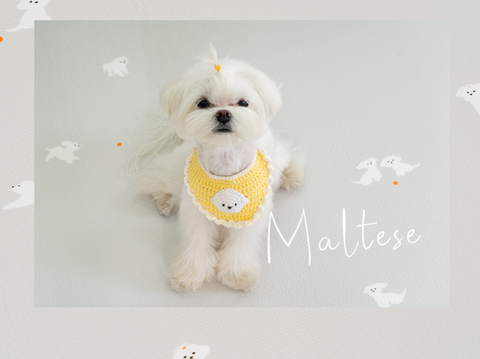 【PRE-ORDER】Non-Slip Waterproof Pet Mat - Rug 整體款 (Breed Pattern)