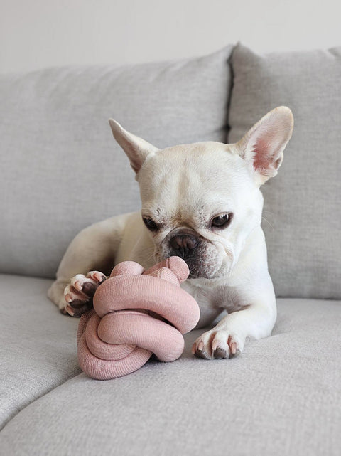 Nou Nou - make your own play object for puppies + kitties