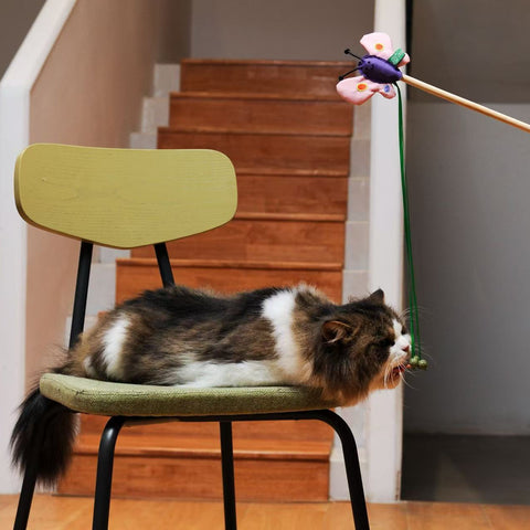 RPET Cat Wands