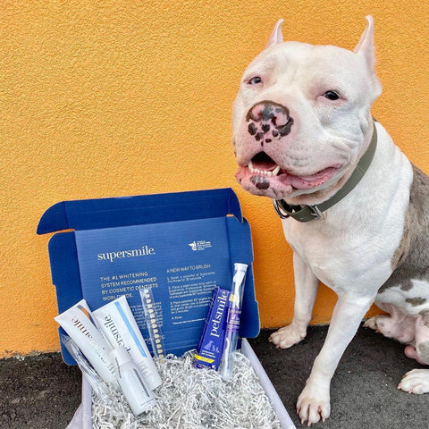 Dual-Ended Pet Toothbrush - Petisan