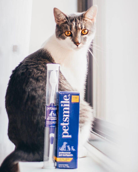 Dual-Ended Pet Toothbrush - Petisan