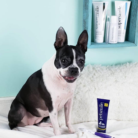 Dual-Ended Pet Toothbrush - Petisan