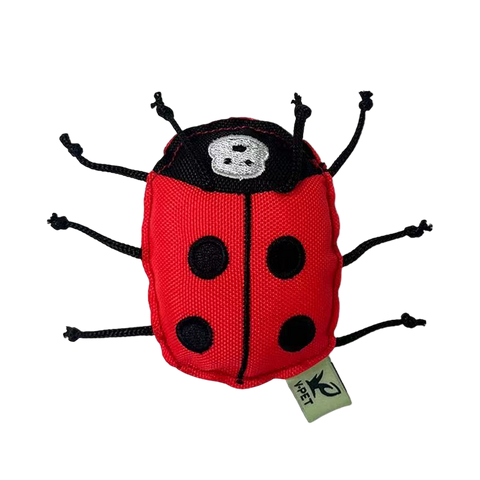Insect Catnip Toys