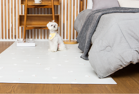 【PRE-ORDER】Non-Slip Waterproof Pet Mat - Hallway 走廊款 (Breed Pattern)
