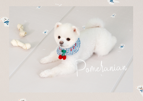 【PRE-ORDER】Non-Slip Waterproof Pet Mat - Folding 折疊款 (Breed Pattern)
