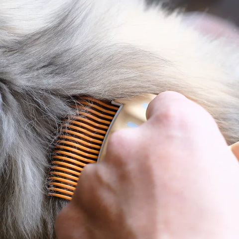 Philocomb - Pet Shell Comb