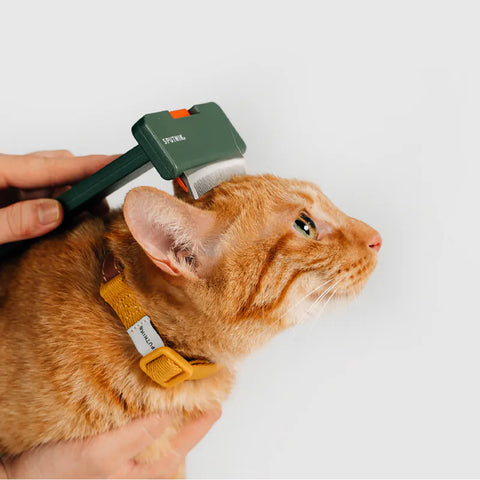 Pet Comb