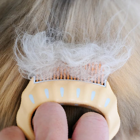 Philocomb - Pet Shell Comb