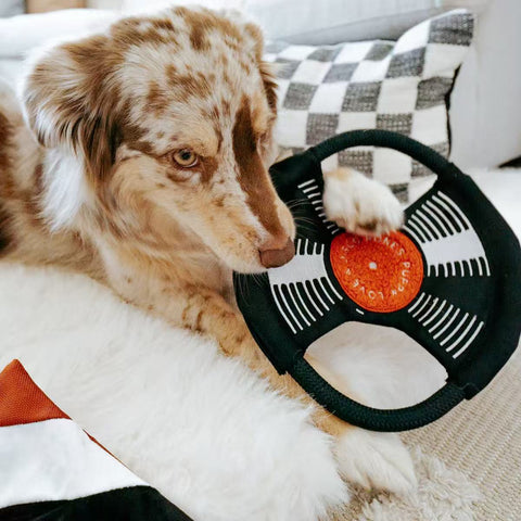 BARK TO THE BEAT