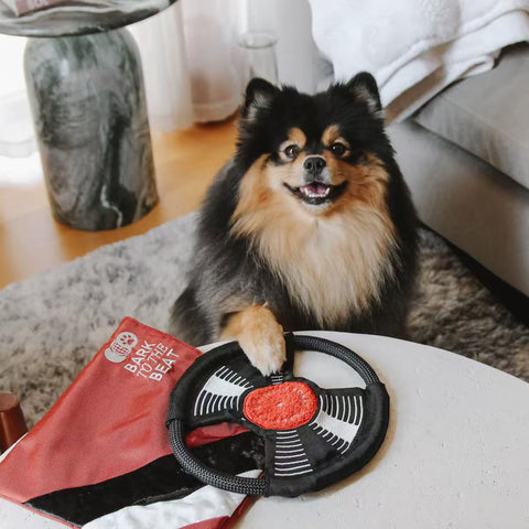 BARK TO THE BEAT