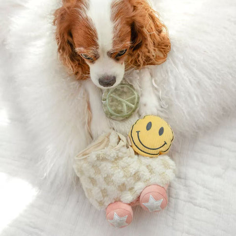 ROLLER SKATE BURROW + CRINKLE