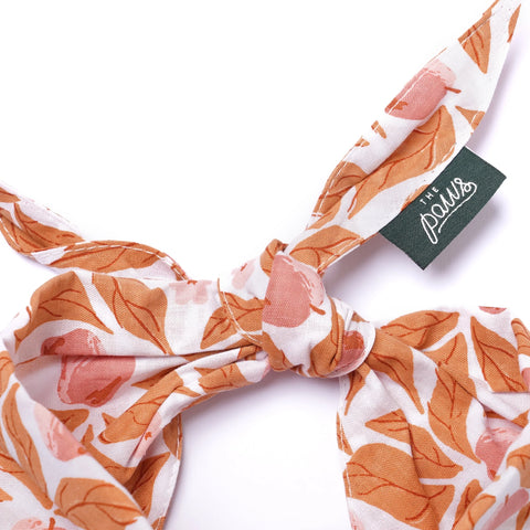 Dog Bandana - Apple Crisp