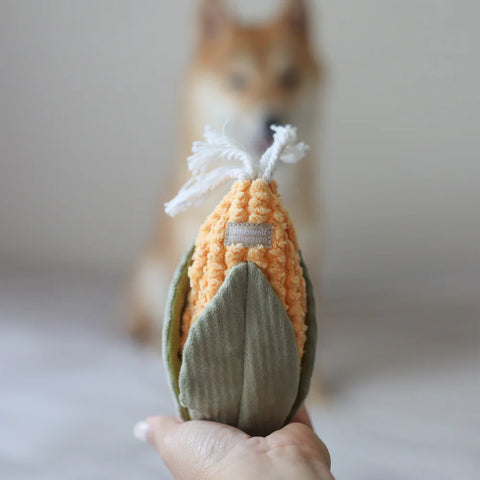 CORN snuffle toy