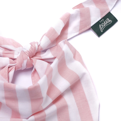 Dog Bandana - Cabana Blush Pink Stripes