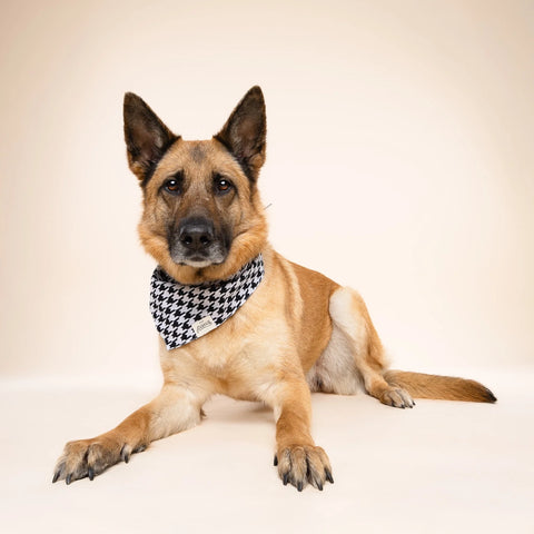 Dog Bandana - Classic Houndstooth