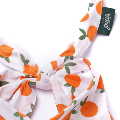 Dog Bandana - CLEMENTINE