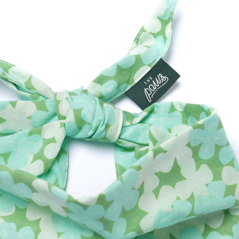 Dog Bandana - Clover