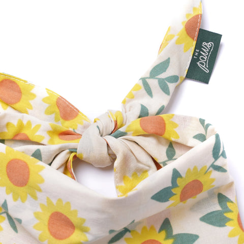 Dog Bandana - Cullipher
