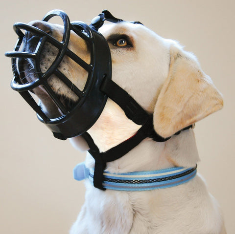Baskerville Ultra Muzzle