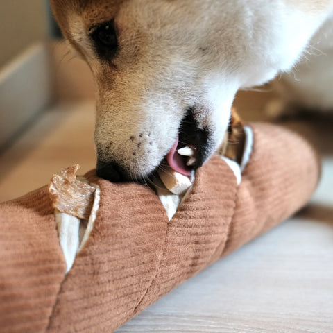 BAGUETTE Enrichment Pockets + Squeaky