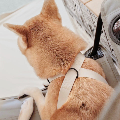 OTTO X - Escape proof harness