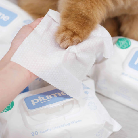 Gentle Cleansing Wet Wipes