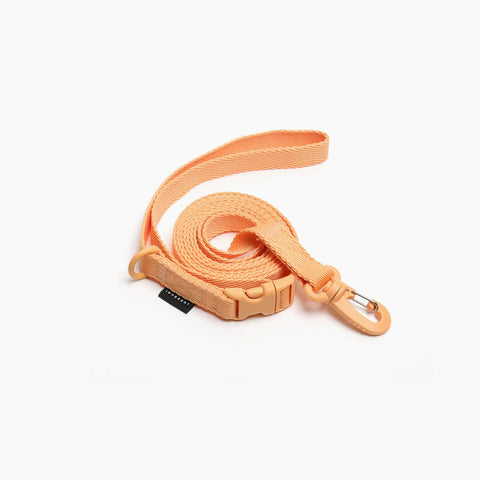 Macaron Hands Free Dog Leash