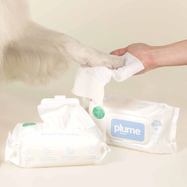 Gentle Cleansing Wet Wipes – plume – Pet Wipes – product photo