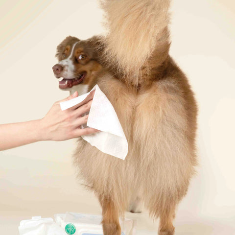 Gentle Cleansing Wet Wipes