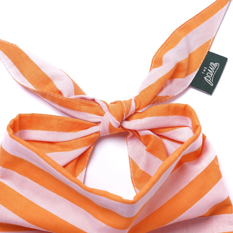 Dog Bandana - Nusa