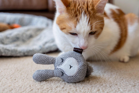Feline Frenzy - Foxsy & Hopsy Toy Set