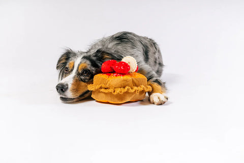 Dog Plush Toy - IHOP - Thick 'N Fluffy French Toast