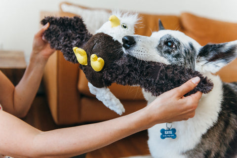 Dog Plush Toy - Fetching Flock Collection