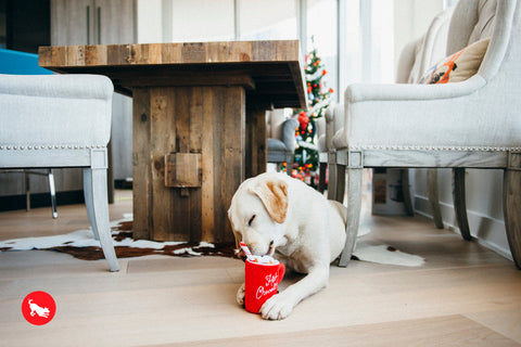 Dog Plush Toy - Holiday Classic Collection