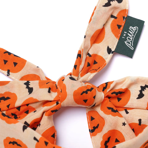 Dog Bandana - Halloween Pupkin