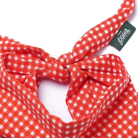 Dog Bandana - Red Gingham