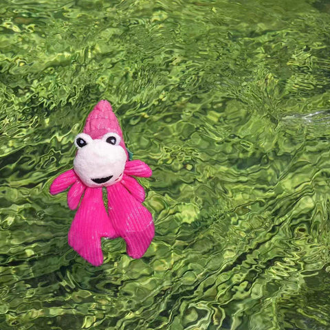Seacreatures - Eco-Friendly Small Dog Toys