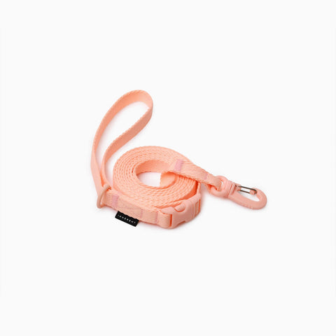 Macaron Hands Free Dog Leash
