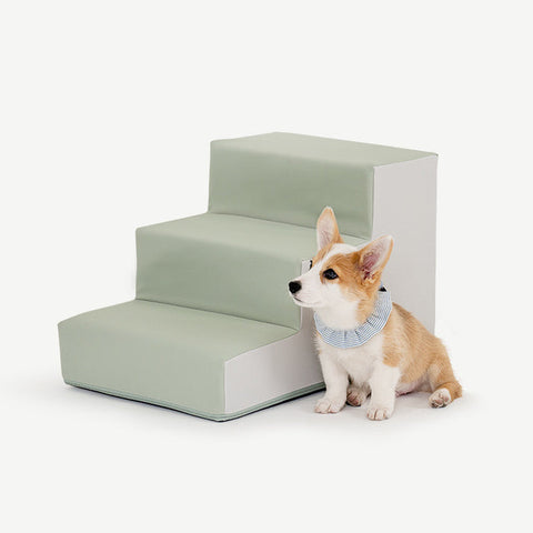 【PRE-ORDER】Non-Slip Pet Step