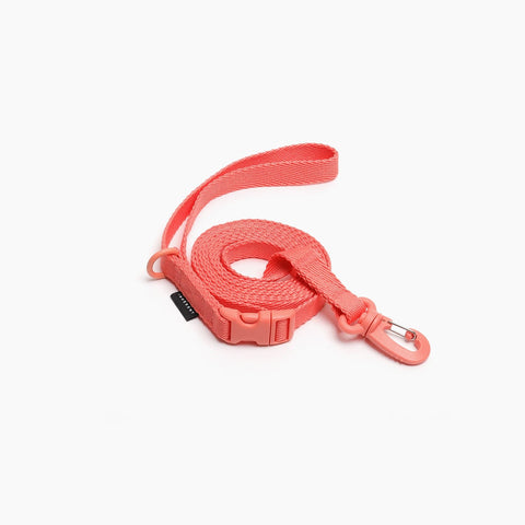 Macaron Hands Free Dog Leash